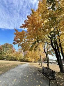 Local Winstanley Park walking trail represents how we are a part of the GWL community.